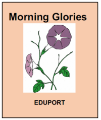 Morning glory （あさがお）