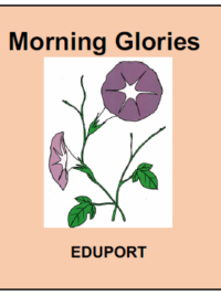Morning glory （あさがお）